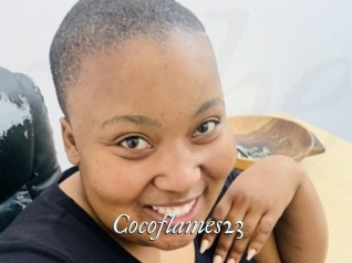 Cocoflames23
