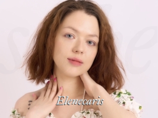 Elenecaris