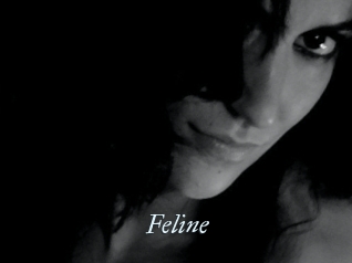 Feline