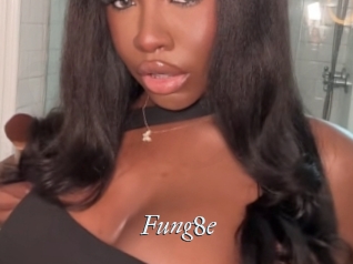 Fung8e