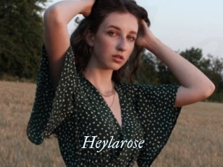 Heylarose