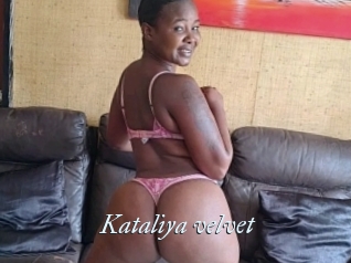 Kataliya_velvet