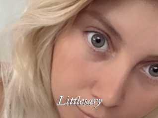 Littlesary