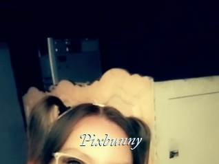 Pixbunny