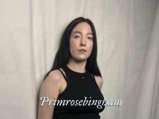 Primrosebingham